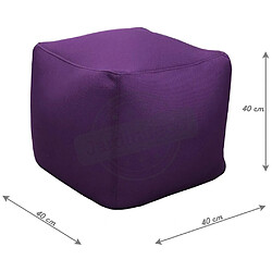 Avis Proloisirs Pouf de piscine Big Bag 40 cm Aubergine.