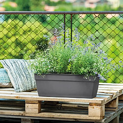 Deroma Jardiniere avec reserve d'eau Ninfea R Anthracite - 40 cm