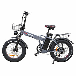 Vélo Électrique DrveTion AT20 - 20*4.0 Pouces Moteur 750W Batterie 48V10Ah Autonomie 35-45KM - Noir Gris