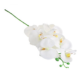 Avis Phaleanopsis artificielle 9 tête décorative orchidée fleur Bonsaï blanc