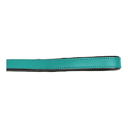 Laisse pour Chien Gloria 1.8 x 100 cm Turquoise pas cher