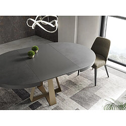 Inside 75 Table repas extensible DELIA 10 couverts 120/185x120cm pied métal bronze plateau céramique gris