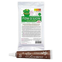 Scrapcooking Pâte à sucre verte arôme vanille 250 g + Stylo chocolat