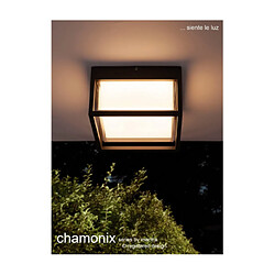 Avis Luminaire Center Applique murale extérieur Chamonix Anthracite