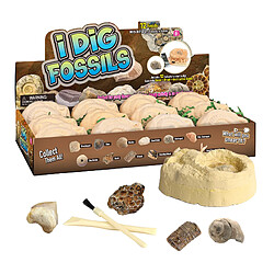 Dino Egg Creuser Kit Archéologie Fossile Jouets Amusants éducatifs Fossiles