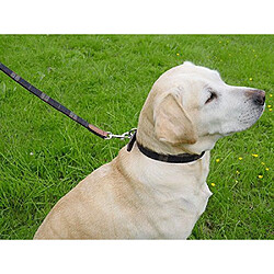 Avis Eurovideo Vg Rosewood Laisse en Cuir de Luxe pour Chien Tweed à Carreaux cossais 102 cm