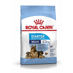 Royal Canin Chien Maxi Starter pas cher