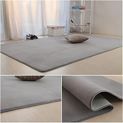 Avis Tapis Moelleux à Poils Courts Gris Clair 140x200cm