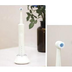 Universal Brosse à dents acoustique électrique Brosse automatique à ultrasons Soins buccaux Nettoyage Tête de brosse remplaçable Hygiène buccale | Brosse à dents électrique