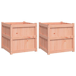 vidaXL Jardinières 2 pcs bois massif douglas