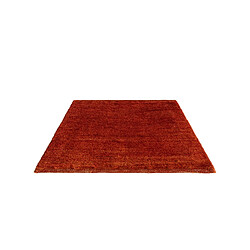 Acheter Vidal Tapis de laine 50x45 rouge Gabbeh