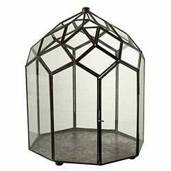 Paris Prix Terrarium en Verre Vintage Brisla 38cm Noir