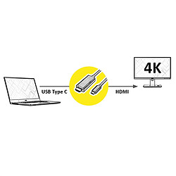 Fox Pathé Europa ROLINE 11.04.5840 câble vidéo et adaptateur 1 m USB C HDMI Noir (ROLINE Adaptercable USB C-HDMI. M/M. 1.0m) pas cher