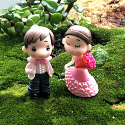 Avis Wewoo Décoration Jardin Style victorien mariage marier mariée Marié Bouquet Couples Moss Micro Paysage Résine Ornements