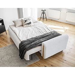 Bestmobilier Glendale - canapé droit 3 places - convertible avec coffre - en tissu bouclette