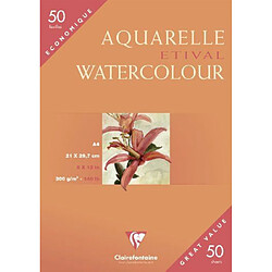 Clairefontaine 96469C Etui de aquarelle Grain Fin 50 Feuilles Blanc