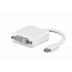 Disney Microconnect Mini Displayport - DVI 15cm