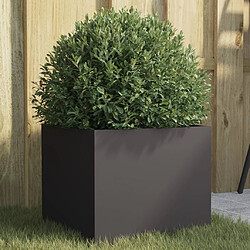 Maison Chic Jardinière,Bac à fleurs - pot de fleur noir 32x30x29 cm acier laminé à froid -GKD49624