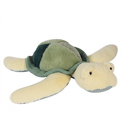 Histoire d'Ours Peluche - Tortue de mer verte