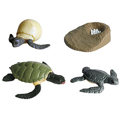 4pcs Miniature Tortue De Mer Simulation Modèle Cycle De Croissance D'animaux Classiques pas cher