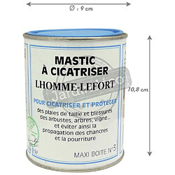 Lhomme-Lefort Mastic à cicatriser des plais de tailles 500 g.