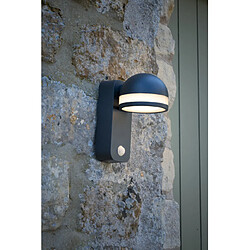 Luminaire Center Applique de jardin détécteur Tien blanc,Gris mat 1 ampoule 16cm pas cher