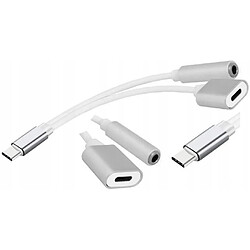 GUPBOO Adaptateur Adaptateur USB-C - Jack 3,5 mm + USB-C,JL1721