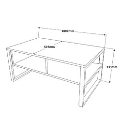 Avis Toilinux Table Basse avec rangements en panneaux de particules et métal - Noir