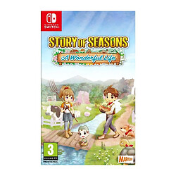 Just For Games Story Of Seasons A Wonderful Life Jeu Nintendo Switch