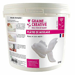 Graines Creatives Plâtre de moulage 10 kg