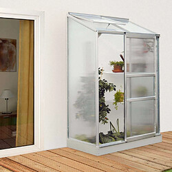 Vitavia Serre de jardin en polycarbonate 4 mm et aluminium anodisé avec embase Ida 66.8 x 130.6 x 182.30 cm.