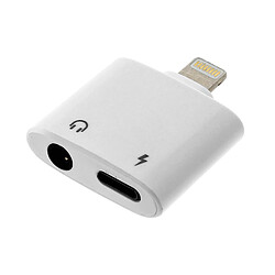 Avizar Adaptateur Charge Audio Prise iPhone iPad iPod Prise Jack 3.5mm Femelle Blanc