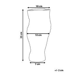 Avis Beliani Vase à fleurs ELATOS Verre 23 cm Transparent