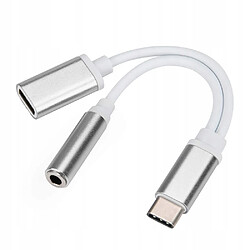 GUPBOO Adaptateur USB-C 2 en 1 Mini Jack 3,5 mm Répartiteur USB-C,JL1130