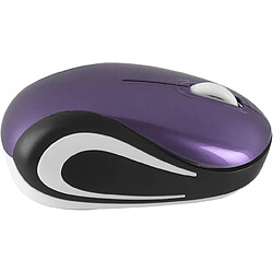 Avis Mini petite souris sans fil pour enfants de 3 à 7 ans, taille enfant, mini souris optique portable sans fil avec récepteur USB pour ordinateur portable (violet)