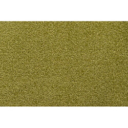 RUGSX TAPIS - MOQUETTE ETON vert 250x300 cm pas cher