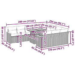 Acheter vidaXL Ensemble de canapés de jardin 11 pcs et coussins rotin acacia