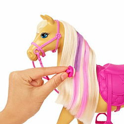 Acheter Poupée Mannequin - Barbie - HGB58 - Coffret Toilettage des Chevaux Barbie avec 1 poupée