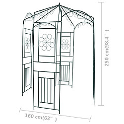 Avis vidaXL Voûte de jardin 250 cm Vert foncé