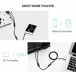 Ugreen - Câble Audio Connecteur Plaqué Or (10588) - Extension Jack 3,5 mm vers 2