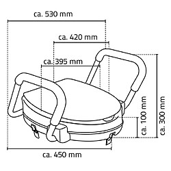 RIDDER Siège de toilette avec barre de sécurité Blanc 150 kg A0072001 pas cher