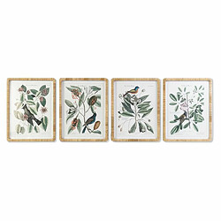 Cadre DKD Home Decor Fleurs (50 x 2,5 x 65 cm) (4 Unités)