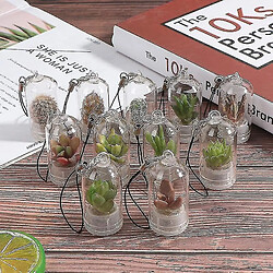 Universal Collier portable miniature cactus bricolage