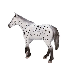 Avis Mojo Horse World Appaloosa Stallion - 387108 387108