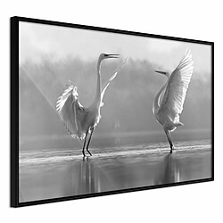 Paris Prix Affiche Murale Encadrée Black and White Herons 30 x 20 cm Noir