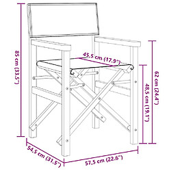 vidaXL Chaises de metteur en scène pliantes - Teck massif pas cher