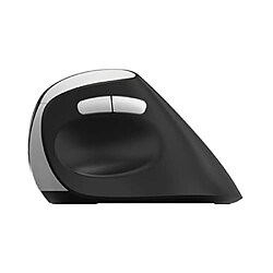 Avis Rapoo Kabellose ergonomische Maus EV250, Schwarz Einstellbarer Sensor mit 1600 DPI