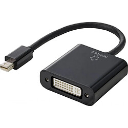 Renkforce RF-4769258 DisplayPort / DVI Adaptateur [1x Mini port Display mâle - 1x DVI femelle 24+5 pôles] noir gaine en PVC 15.00 cm