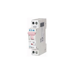 Eaton Industries France SAS 000264741 Disjoncteur P plus N : 2A 4,5kA (EN 60898) cbe C