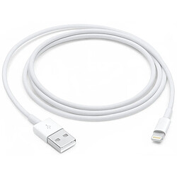 Avis Apple MD818 Câble Lightning Original - 1m - Blanc (Blister)